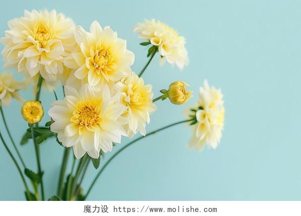 黄色花朵鲜花祝贺AI